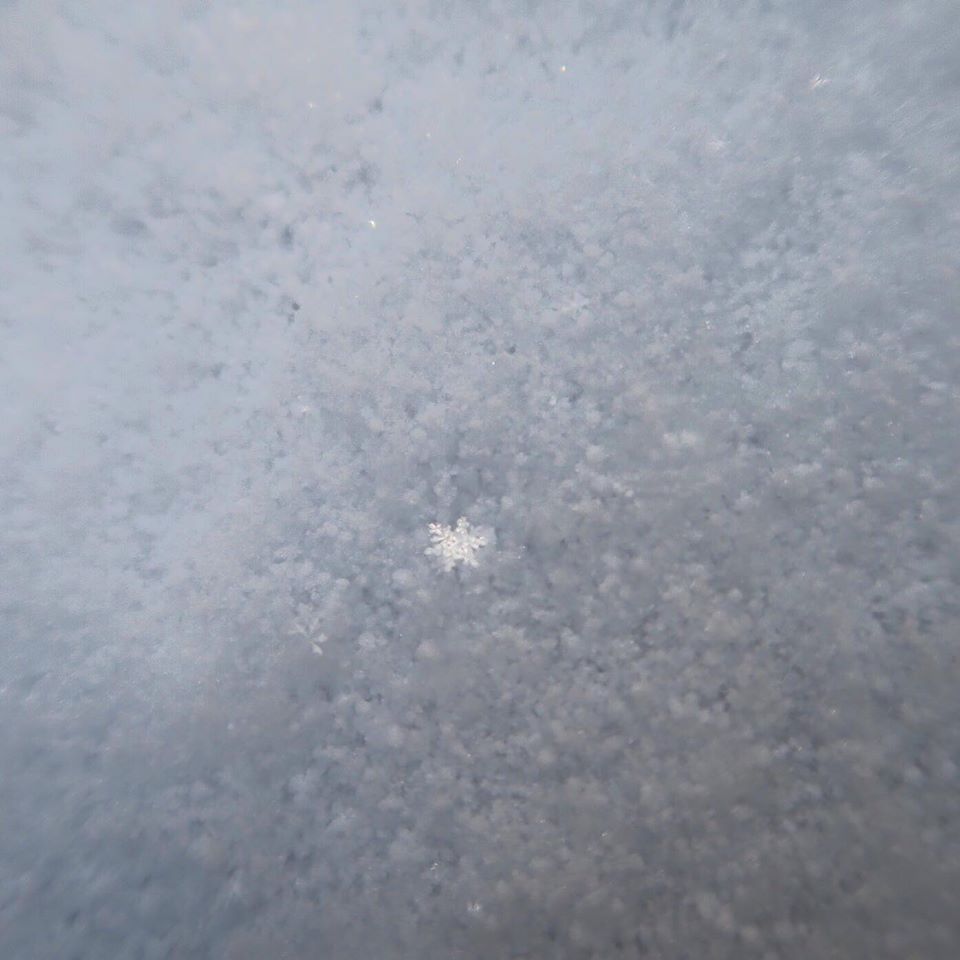 雪の結晶125